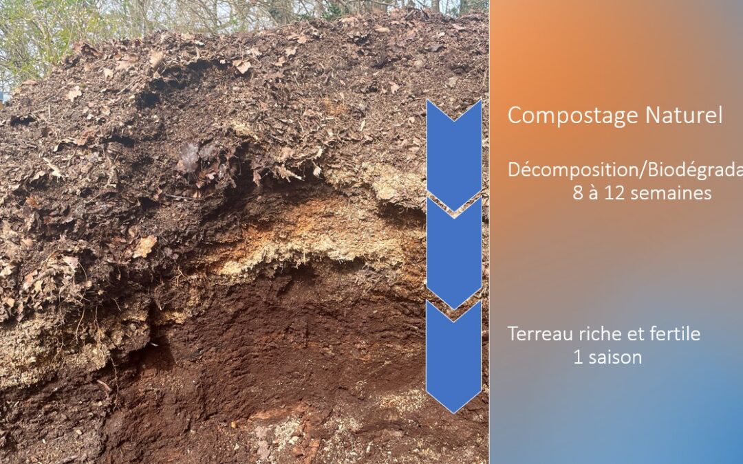 Embelium matière compostabe